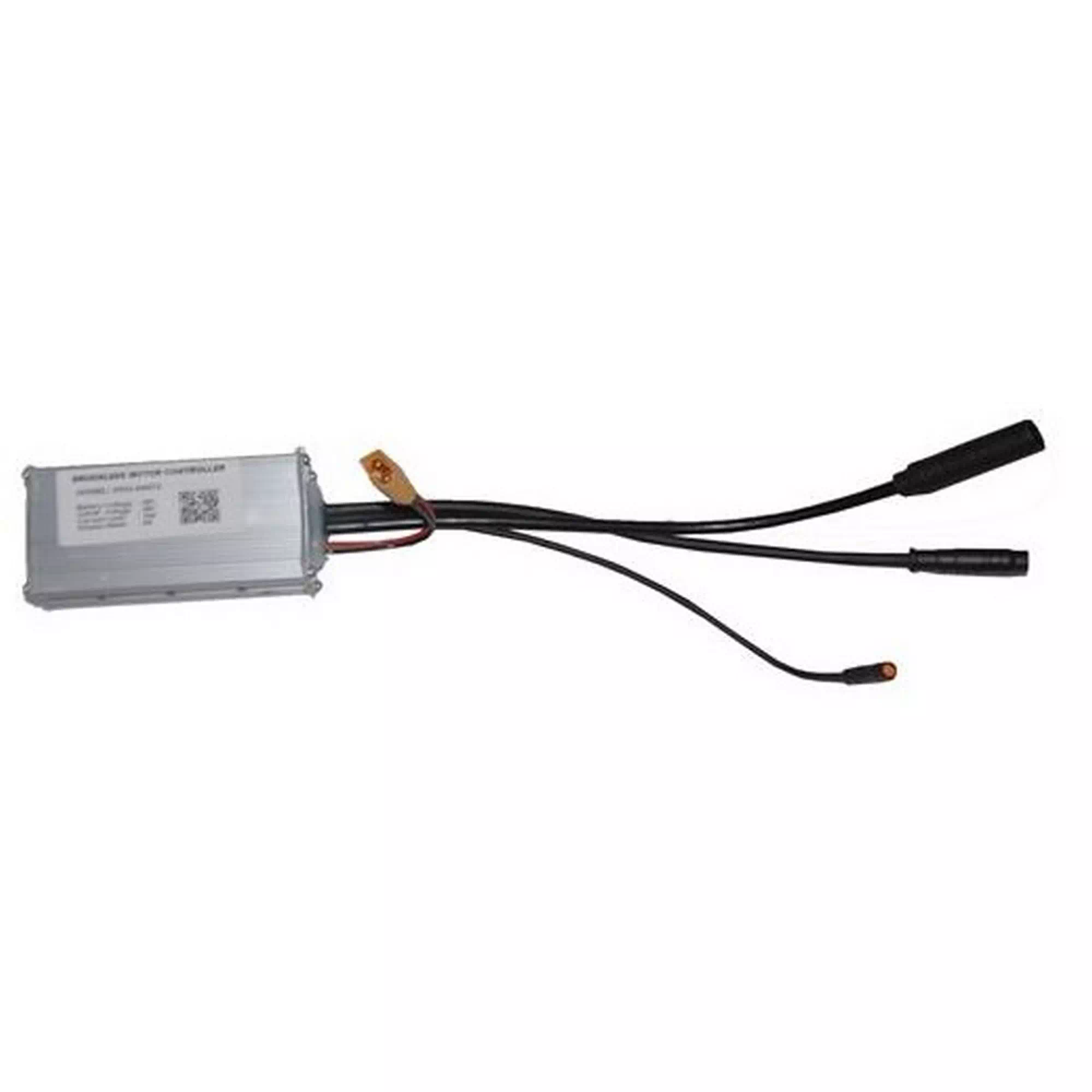 RKS H1 BEYİN #RK 63046
